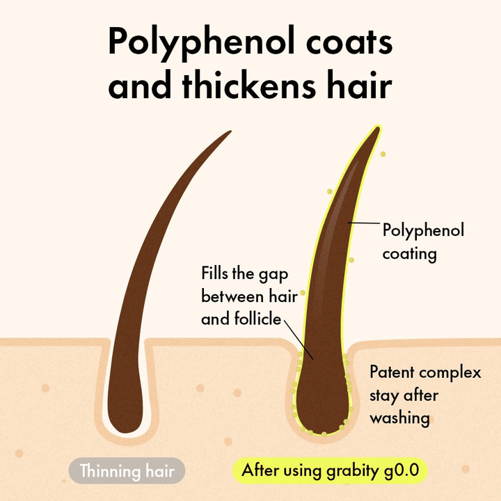 Diagram showing how polyphenols envelop the hair strand and fill out the area around the hair follicle to create a thicker and fuller appearance even after washing.