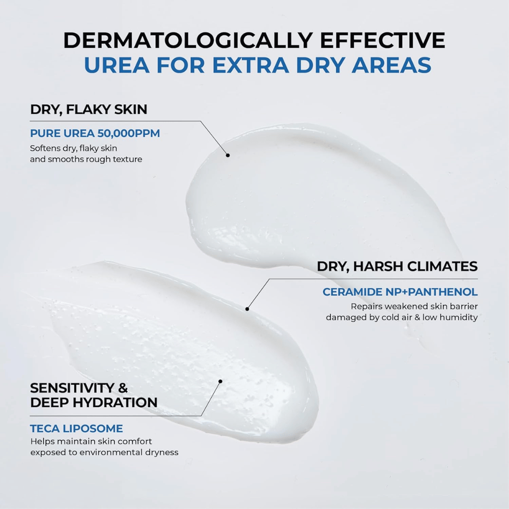 Ingredient and function image explaining how the active ingredients work. Urea 50,000 ppm helps soften dry and flaky skin, Ceramide NP and Panthenol strengthen the skin barrier in dry climates, while TECA Liposome provides soothing and moisturizing properties for sensitive skin.